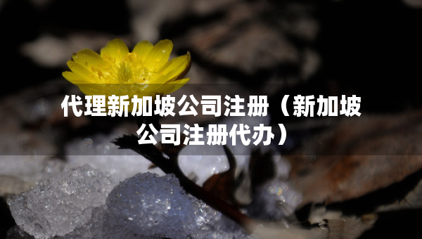 代理新加坡公司注冊（新加坡公司注冊代辦）