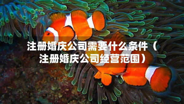 注冊(cè)婚慶公司需要什么條件（注冊(cè)婚慶公司經(jīng)營(yíng)范圍）