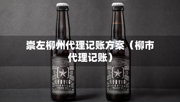 崇左柳州代理記賬方案（柳市代理記賬）