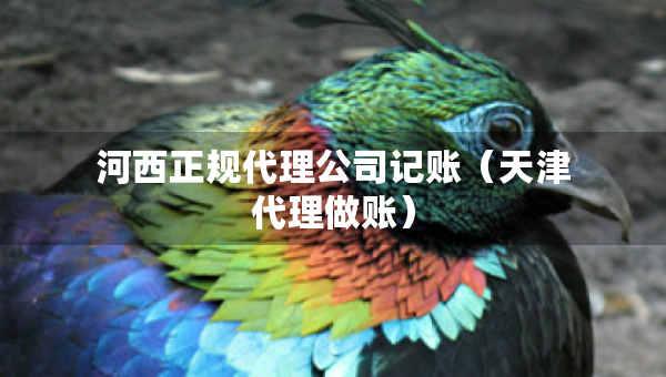河西正規(guī)代理公司記賬（天津代理做賬）