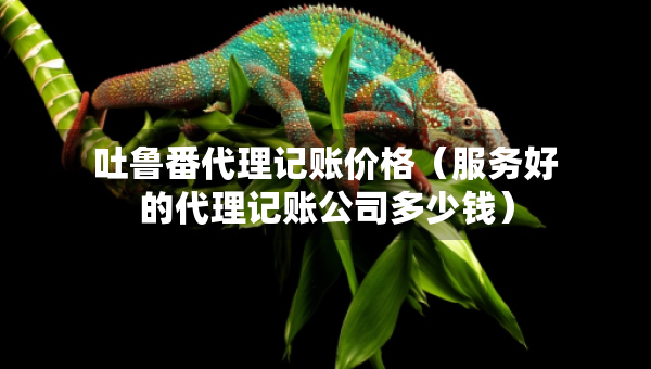 吐魯番代理記賬價(jià)格（服務(wù)好的代理記賬公司多少錢(qián)）