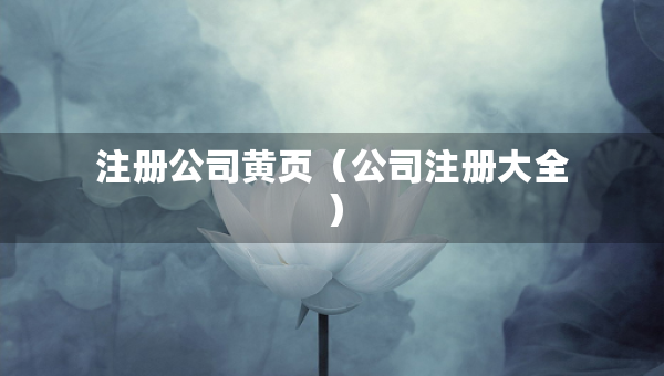 注冊公司黃頁（公司注冊大全）