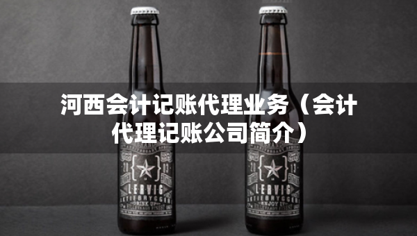河西會(huì)計(jì)記賬代理業(yè)務(wù)（會(huì)計(jì)代理記賬公司簡(jiǎn)介）