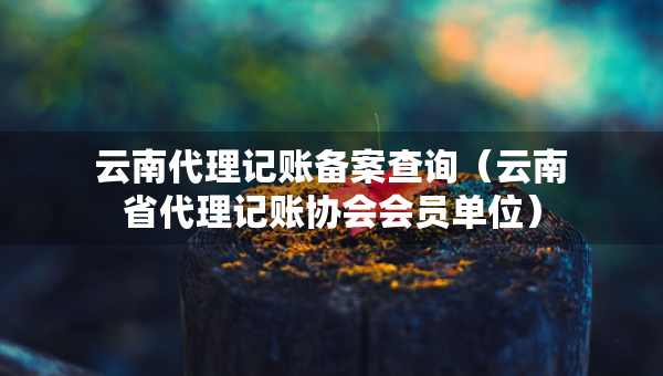 云南代理記賬備案查詢（云南省代理記賬協(xié)會(huì)會(huì)員單位）