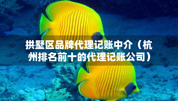 拱墅區(qū)品牌代理記賬中介（杭州排名前十的代理記賬公司）