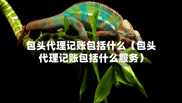 包頭代理記賬包括什么（包頭代理記賬包括什么服務(wù)）