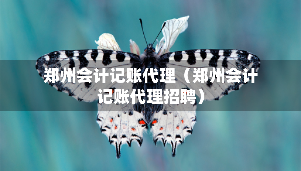 鄭州會(huì)計(jì)記賬代理（鄭州會(huì)計(jì)記賬代理招聘）