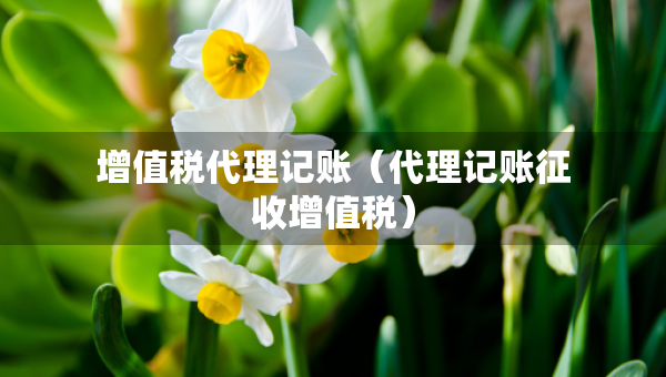 增值稅代理記賬（代理記賬征收增值稅）