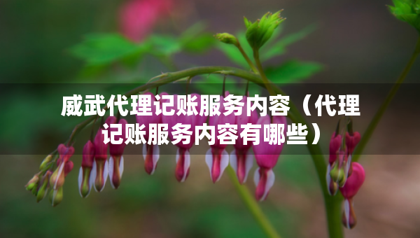 威武代理記賬服務(wù)內(nèi)容（代理記賬服務(wù)內(nèi)容有哪些）