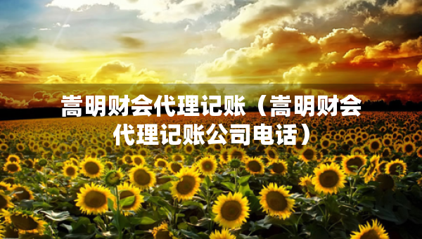 嵩明財(cái)會(huì)代理記賬（嵩明財(cái)會(huì)代理記賬公司電話）