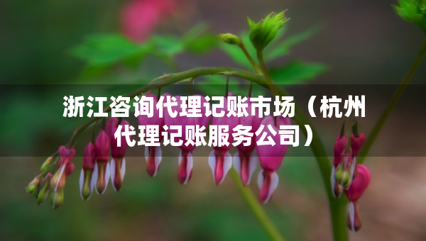 浙江咨詢代理記賬市場（杭州代理記賬服務(wù)公司）