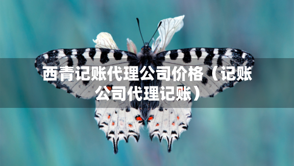 西青記賬代理公司價(jià)格（記賬公司代理記賬）