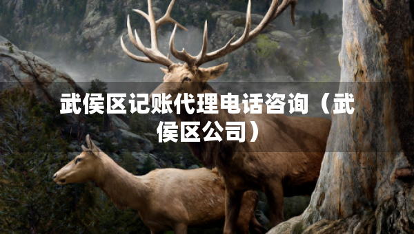 武侯區(qū)記賬代理電話咨詢（武侯區(qū)公司）