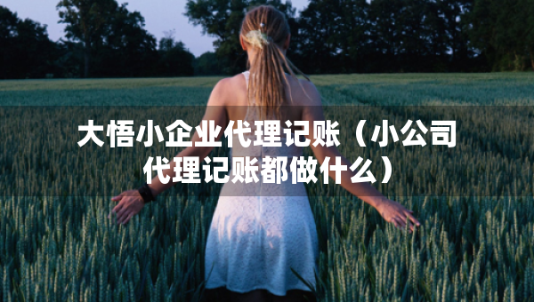大悟小企業(yè)代理記賬（小公司代理記賬都做什么）