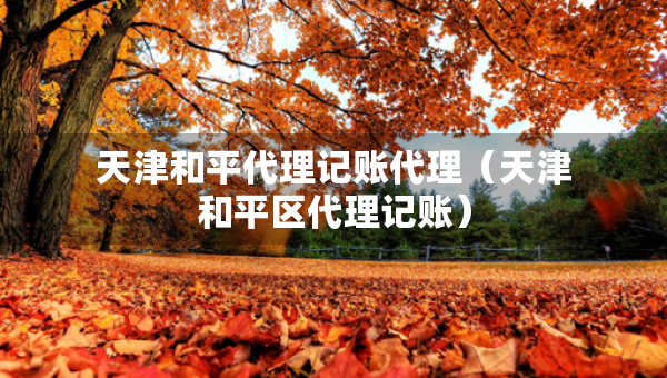 天津和平代理記賬代理（天津和平區(qū)代理記賬）