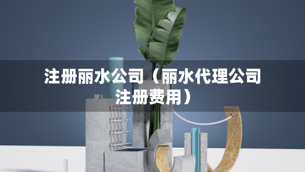 注冊麗水公司（麗水代理公司注冊費(fèi)用）