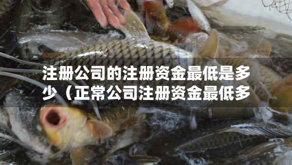 注冊公司的注冊資金最低是多少（正常公司注冊資金最低多少）