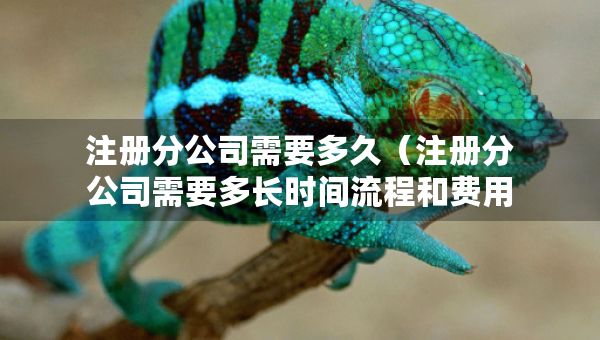 注冊分公司需要多久（注冊分公司需要多長時間流程和費用）