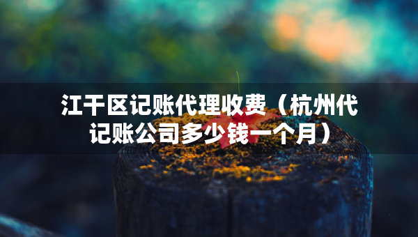 江干區(qū)記賬代理收費(fèi)（杭州代記賬公司多少錢一個月）