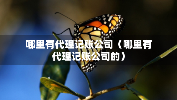 哪里有代理記賬公司（哪里有代理記賬公司的）