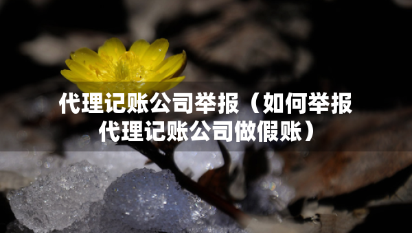 代理記賬公司舉報(bào)（如何舉報(bào)代理記賬公司做假賬）