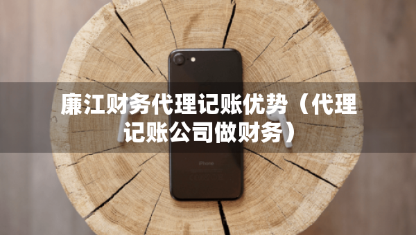 廉江財務(wù)代理記賬優(yōu)勢（代理記賬公司做財務(wù)）