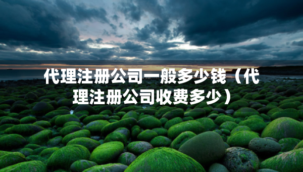 代理注冊(cè)公司一般多少錢（代理注冊(cè)公司收費(fèi)多少）