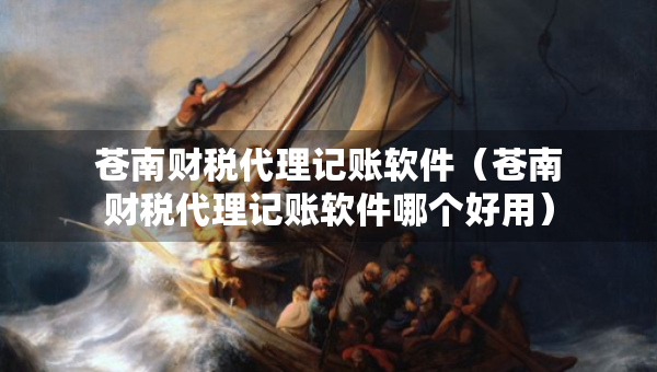 蒼南財稅代理記賬軟件（蒼南財稅代理記賬軟件哪個好用）
