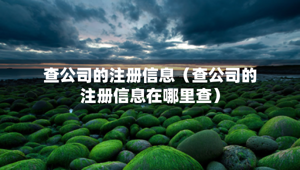 查公司的注冊(cè)信息（查公司的注冊(cè)信息在哪里查）