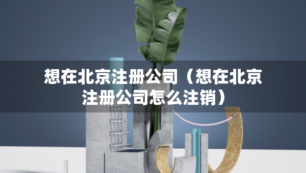 想在北京注冊(cè)公司（想在北京注冊(cè)公司怎么注銷）
