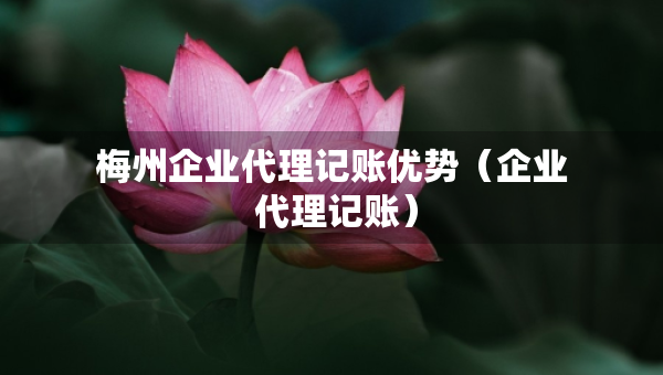 梅州企業(yè)代理記賬優(yōu)勢(shì)（企業(yè) 代理記賬）