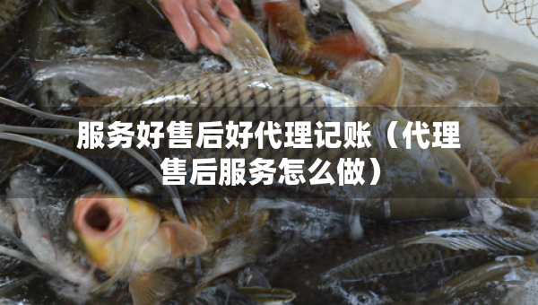服務(wù)好售后好代理記賬（代理售后服務(wù)怎么做）