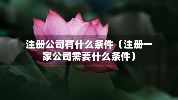 注冊(cè)公司有什么條件（注冊(cè)一家公司需要什么條件）
