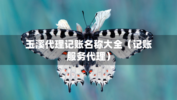 玉溪代理記賬名稱大全（記賬服務(wù)代理）