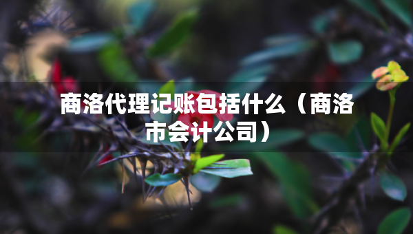 商洛代理記賬包括什么（商洛市會計公司）