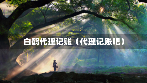 白鶴代理記賬（代理記賬吧）