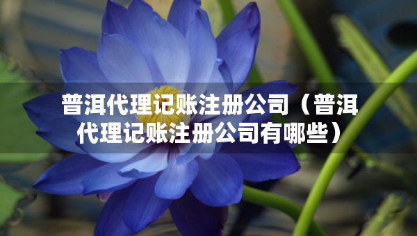 普洱代理記賬注冊公司（普洱代理記賬注冊公司有哪些）