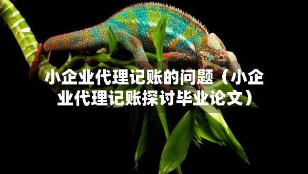 小企業(yè)代理記賬的問題（小企業(yè)代理記賬探討畢業(yè)論文）