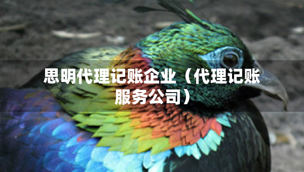 思明代理記賬企業(yè)（代理記賬服務(wù)公司）