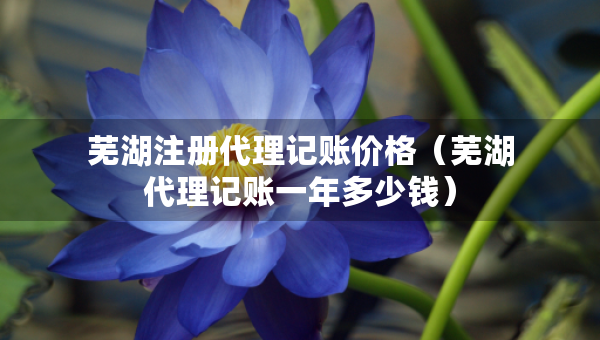 蕪湖注冊(cè)代理記賬價(jià)格（蕪湖代理記賬一年多少錢）