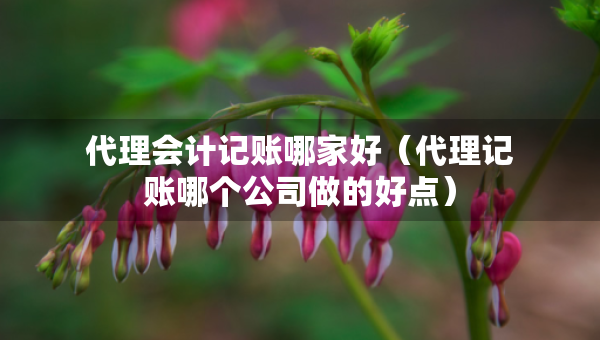 代理會(huì)計(jì)記賬哪家好（代理記賬哪個(gè)公司做的好點(diǎn)）