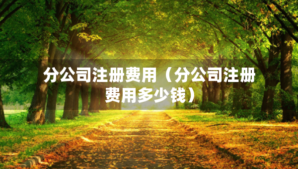 分公司注冊費用（分公司注冊費用多少錢）