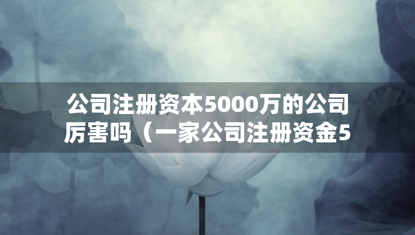 公司注冊資本5000萬的公司厲害嗎（一家公司注冊資金5000萬屬于什么水平）