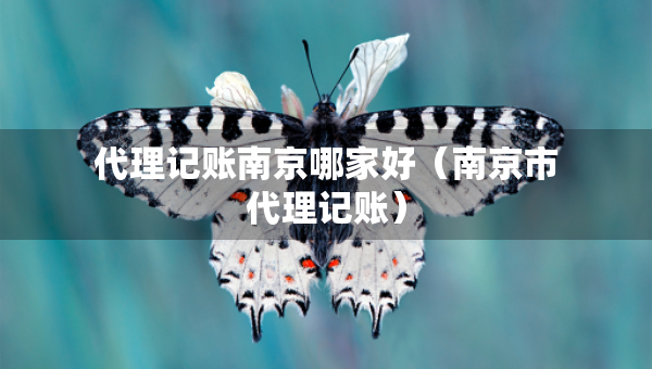 代理記賬南京哪家好（南京市代理記賬）