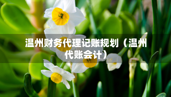溫州財(cái)務(wù)代理記賬規(guī)劃（溫州代賬會計(jì)）