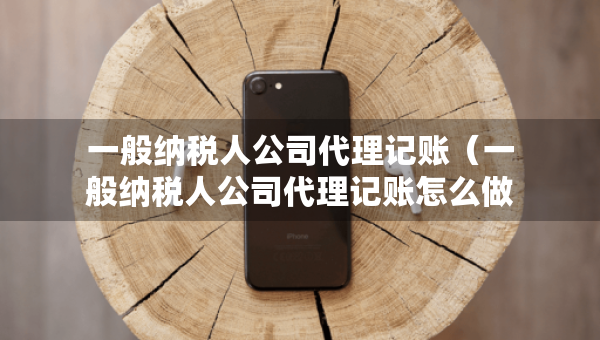 一般納稅人公司代理記賬（一般納稅人公司代理記賬怎么做賬）