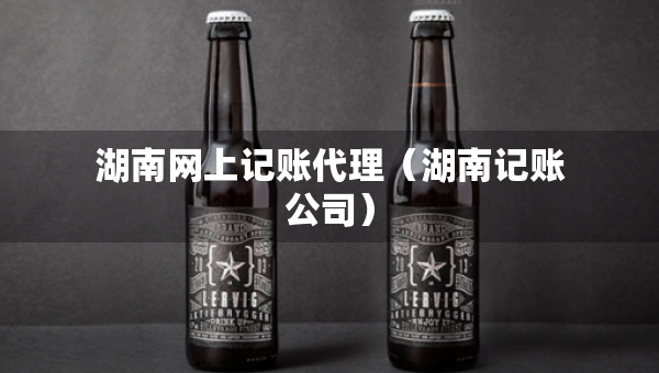 湖南網(wǎng)上記賬代理（湖南記賬公司）