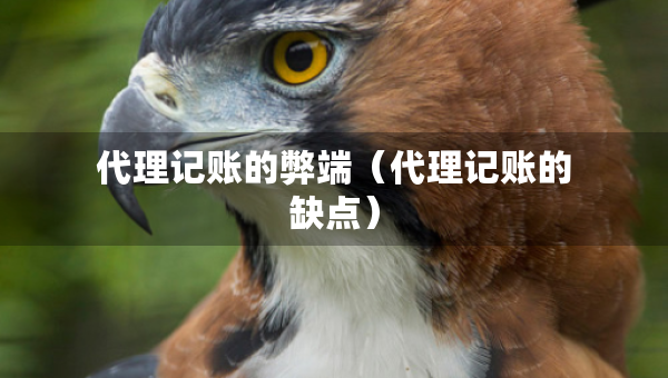 代理記賬的弊端（代理記賬的缺點(diǎn)）