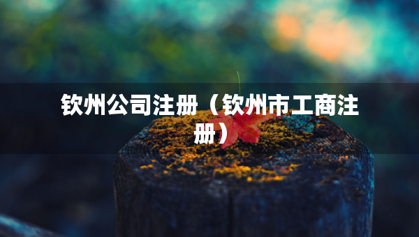 欽州公司注冊（欽州市工商注冊）