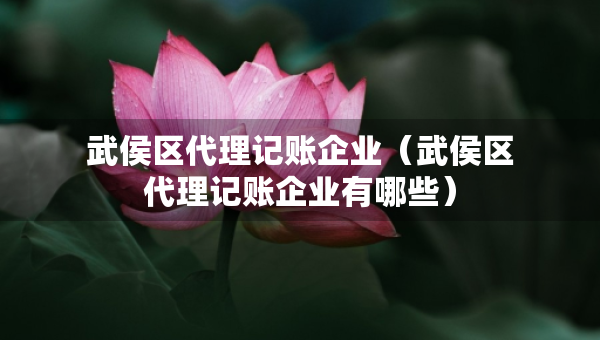 武侯區(qū)代理記賬企業(yè)（武侯區(qū)代理記賬企業(yè)有哪些）
